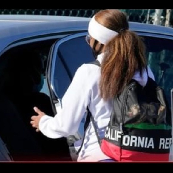 Black California Republic Brown Bear Backpack Bag - Picture 3 of 10